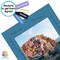 10 Pack 11x14 Mixed Colors White Core Picture Mats for 8x10 Photos